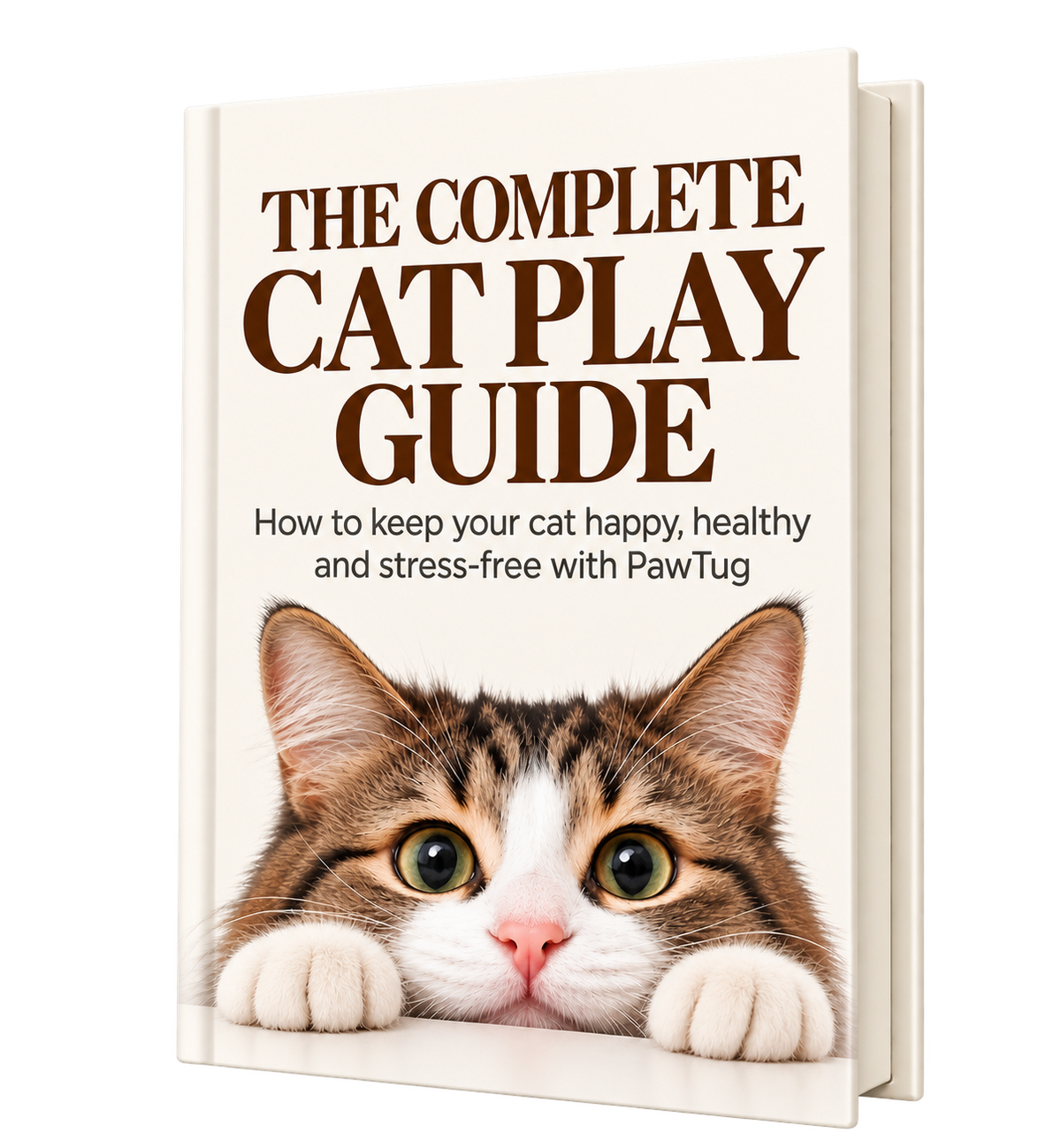 Cat Play Guide